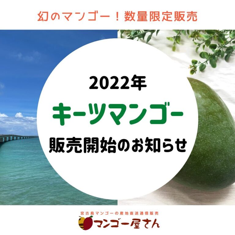 キーツマンゴー6.5㎏④ 今季人気の商品 icqn.de