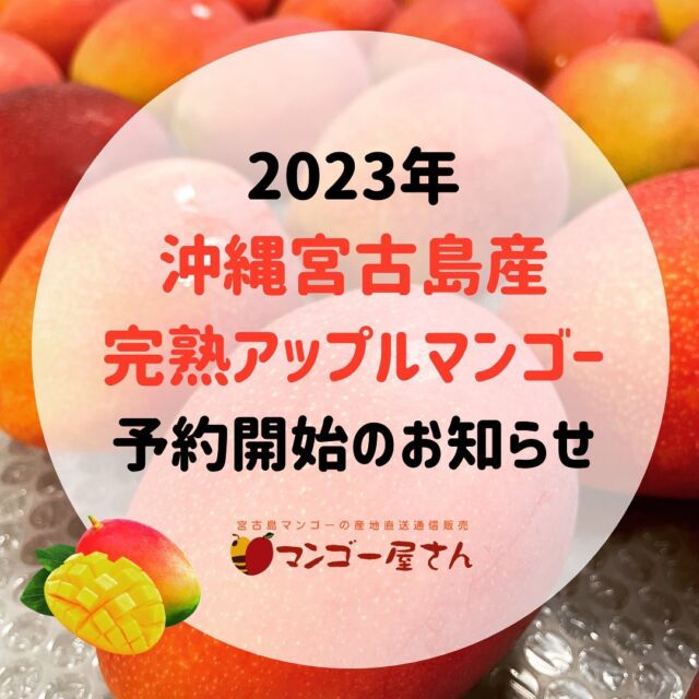 ハム様専用 宮古島産キーツマンゴー2kg以上 - 通販 - toptelha.net.br